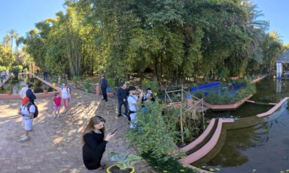 Majorelle Gardens, Morocco