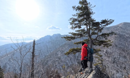 Mount Chitinza (Rocky), Russia, Primorsky Krai, Partizansky District.