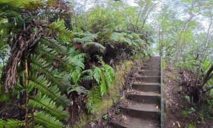 4/18 [New Zealand] The way of Raparapahoe Falls
