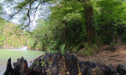 17/18 [New Zealand] The way of Raparapahoe Falls