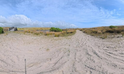 4/6 [New Zealand] Kaituna Scenic Reserve