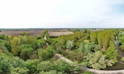 DJI_20260419190838_0079_D
