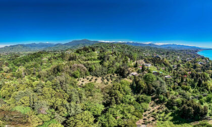 DB Travel Club 📸 – Have a Look 360 🎥Batumi Botanical Garden, central view. Batumi Bay, Georgia 🇬🇪