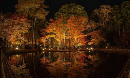 2023.11.19 曽木公園の紅葉_IMG_7679_VR180.JPG