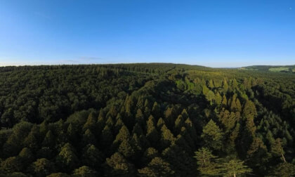 Forêt du Crânou Bretagne 360