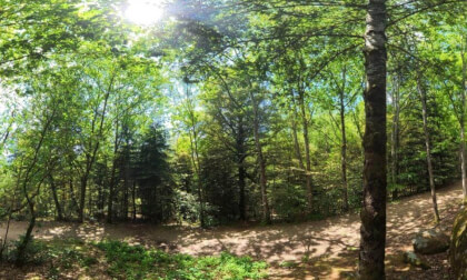 La forêt de Huelgoat en Bretagne