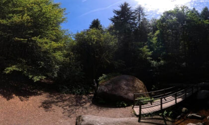 La mare aux sangliers à Huelgoat en Bretagne