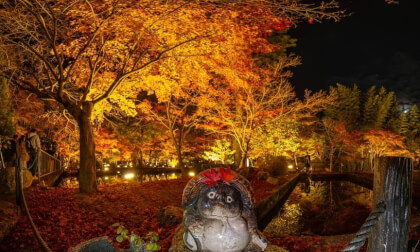 2023.11.19 曽木公園の紅葉_IMG_7662_VR180.JPG