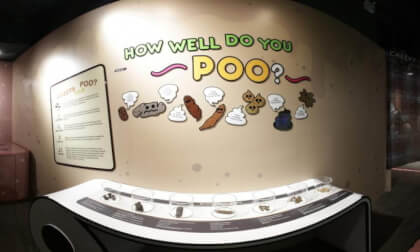 Throne of toilet Singapore Science Museum Exhibition Continue 4