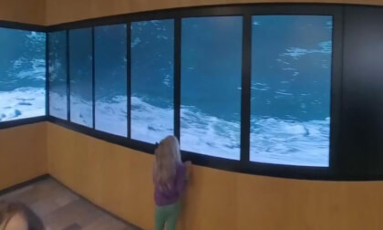 Aquarium Entrance