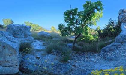 20260614-les mourres08