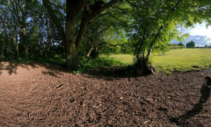 Cody the Miniature Dachshund - Lets Walk Dog Field (360° View)