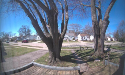 Front Lawn