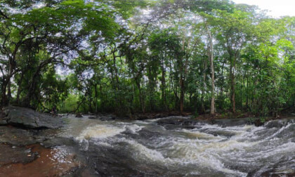 Algama Ella Forest Stream, Sri Lanka – Immersive 360° Rainforest VR Experience