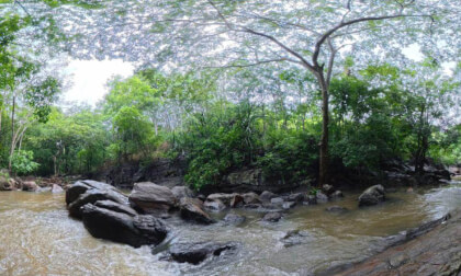 Algama Ella Rainforest Rapids, Sri Lanka – Immersive 360° Forest Stream Experience