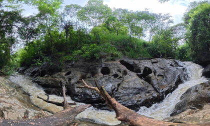 Algama Ella Waterfall with Fallen Tree, Sri Lanka – Immersive 360° Rainforest VR Experience