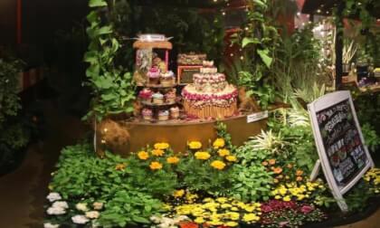 Singapore Garden Festival 2026 Fairy Tales Market