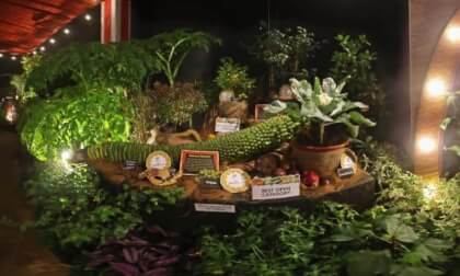 Singapore Garden Festival 2026 Fairy Tales Market 2