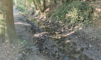 The Grove Woods Felixstowe - brook.