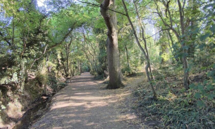 The Grove Woods Felixstowe - Path.