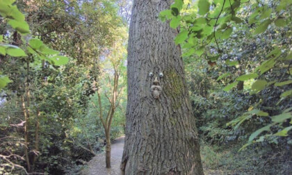 The Grove Woods Felixstowe - Tree Spirit.