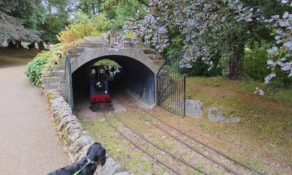Buxton Park Train coming out of the tunnel and Ebony the dog.