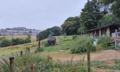 Chicken coop - Buxton.