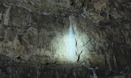 Poole's Cavern - the slug.