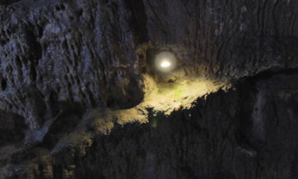 Pooles Cavern Algae growth from a lamp