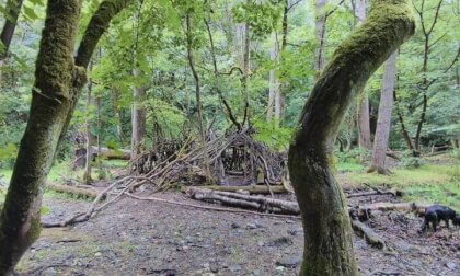 Secret Den somewhere near Buxton - Ebony found it !!