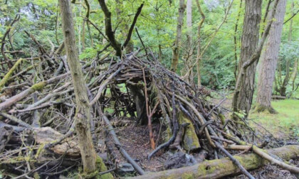 Secret Den in woodland somewhere near Buxton