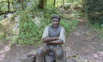 Carving in Grinlow Woods Buxton.