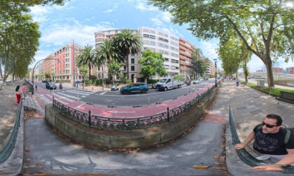 Under the Palms of Bilbao | Basque Country, Spain