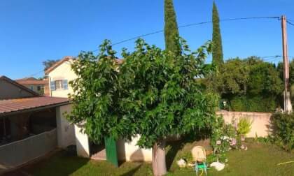 IMG_20260620_183706_00_merged