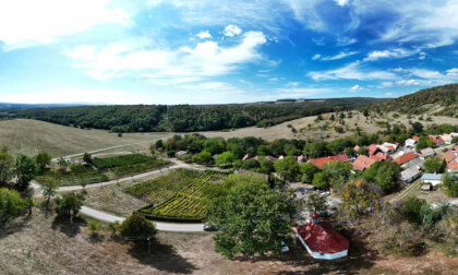 A beautiful historical reserve with authentic wine cellars.