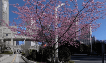 Nishishinjuku＃23