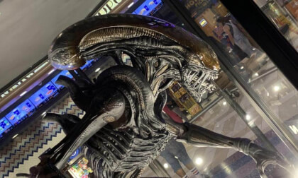 Alien: Romulus Xenomorph in 3D