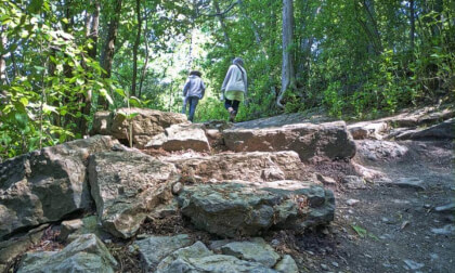 Natural Steps