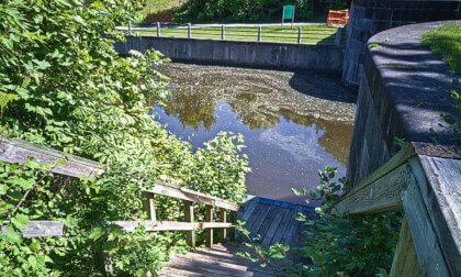 Steps to the Canal