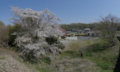 kodamacho#6