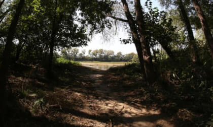 Trail - Flat