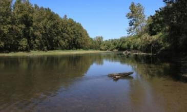 Kaw River (108_029)