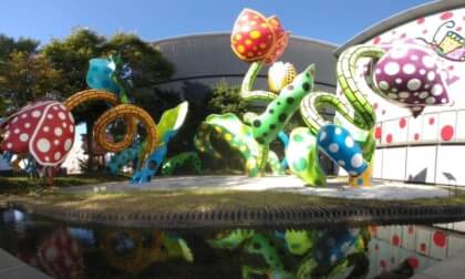 Yayoi Kusama, The Visionary Flowers at the Matsumoto City Museum of Art in Nagano, Japan