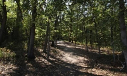 Trail (105_003)