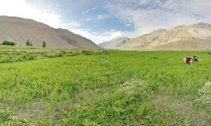 Kaza, India