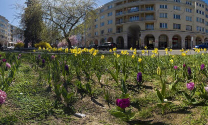 Blooming Boulevard 🇸🇰
