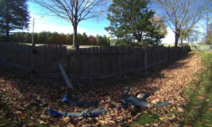 Backyard Leaves VR Photo Backyard Leaves VR