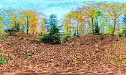 The stillness of autumn