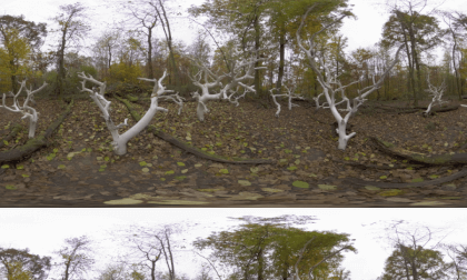 work of art "forest bleaching" - trail of arts in the forest (Darmstadt, 2024, 3D)