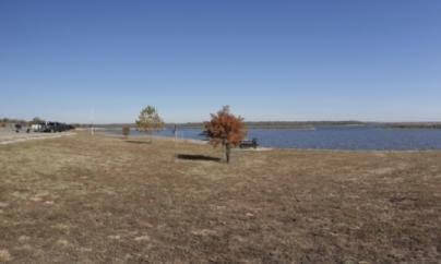 Sapling - Clinton Lake (V_F106_S001)